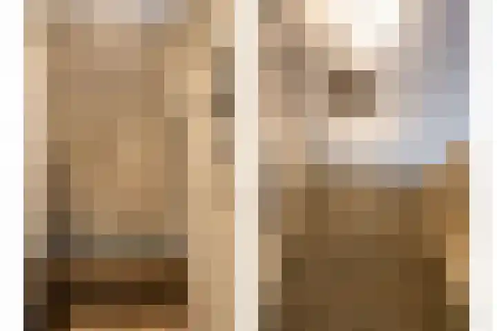 Rosveld 5 Hengevelde thumbnail 39