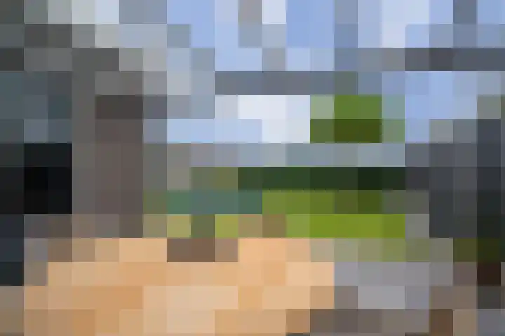 Rosveld 5 Hengevelde thumbnail 4