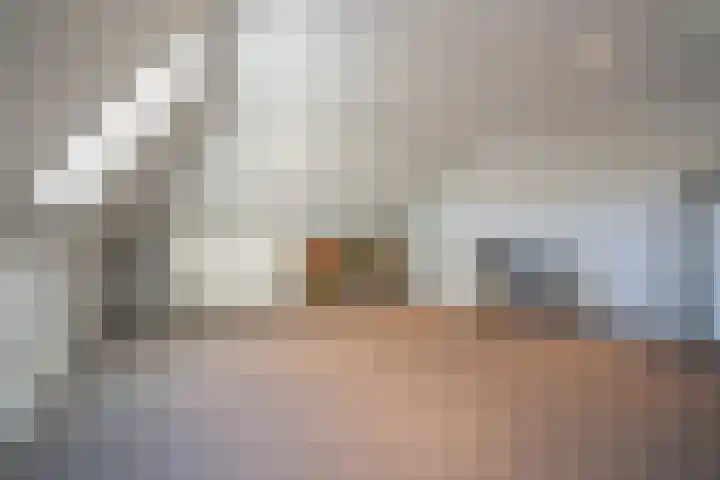 Rosveld 5 Hengevelde thumbnail 48