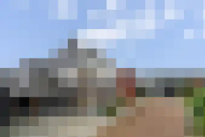 Rosveld 5 Hengevelde thumbnail 5