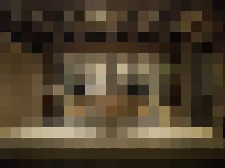 Rosveld 5 Hengevelde thumbnail 51