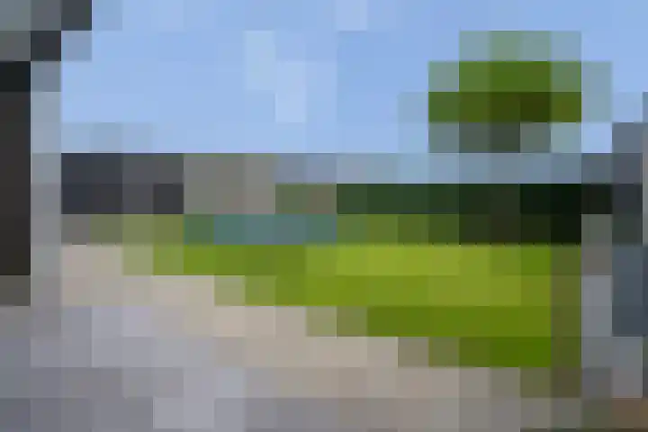 Rosveld 5 Hengevelde thumbnail 52