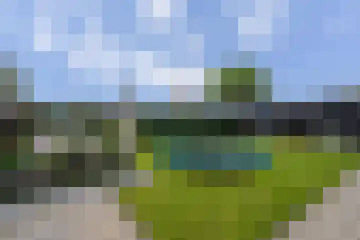 Rosveld 5 Hengevelde thumbnail 53