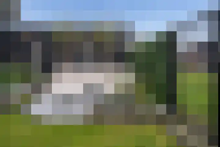 Rosveld 5 Hengevelde thumbnail 54