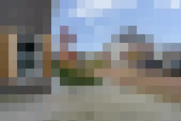 Rosveld 5 Hengevelde thumbnail 55