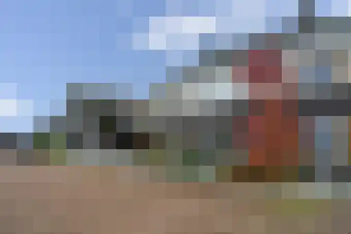 Rosveld 5 Hengevelde thumbnail 56