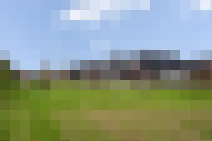 Rosveld 5 Hengevelde thumbnail 57