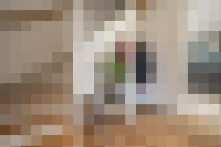 Rosveld 5 Hengevelde thumbnail 8