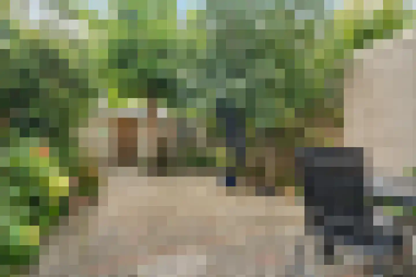 Rosweide 15 Zoetermeer thumbnail 25