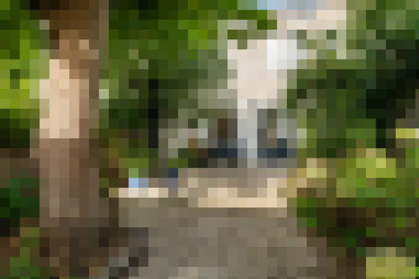 Rosweide 15 Zoetermeer thumbnail 27