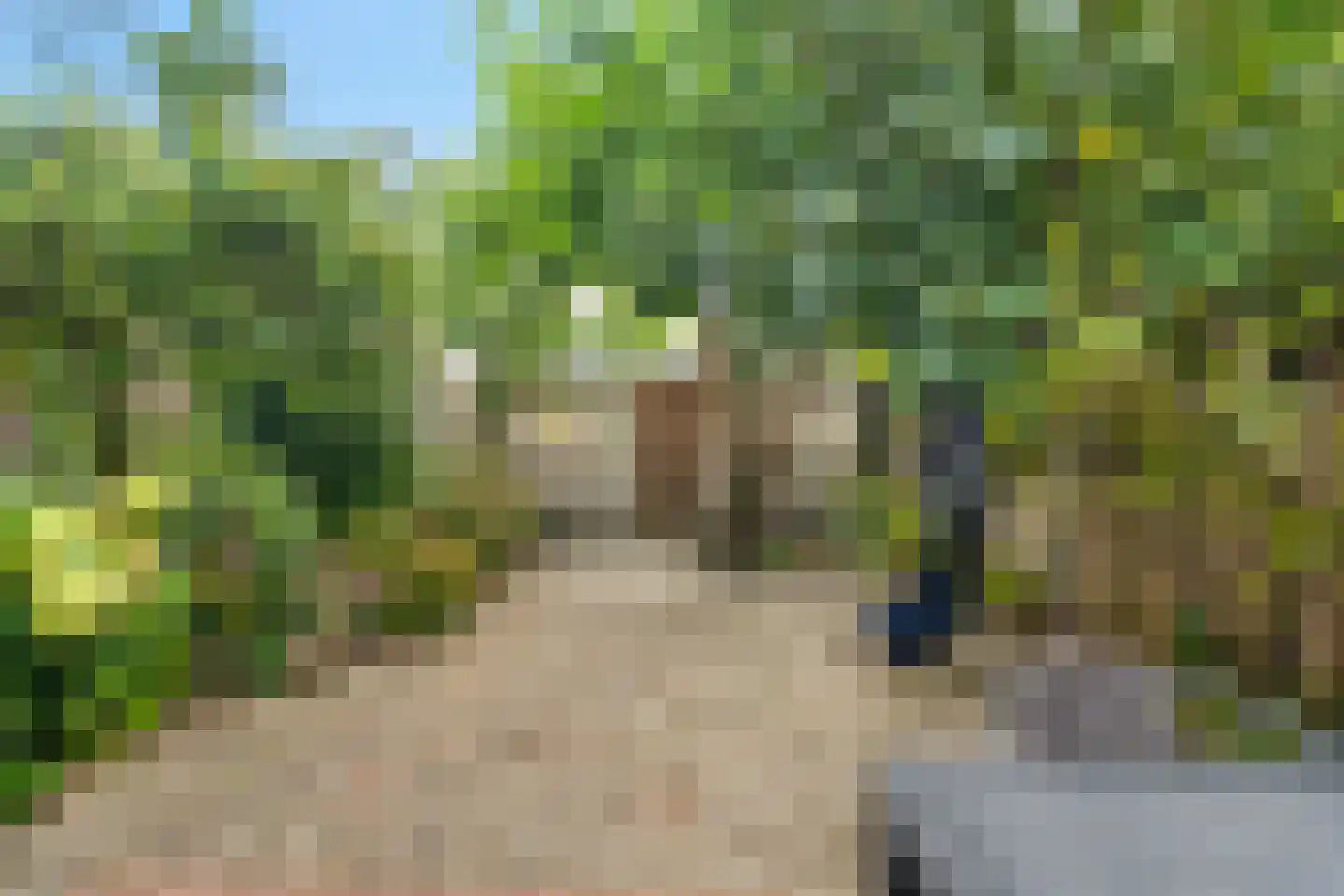 Rosweide 15 Zoetermeer thumbnail 5
