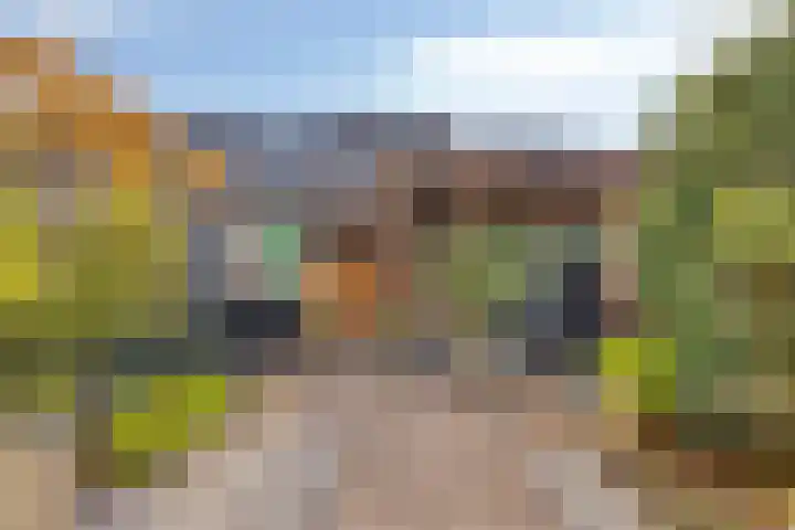 Rosweide 18 Zoetermeer thumbnail 10