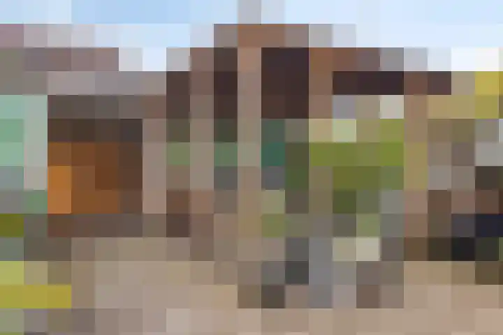 Rosweide 18 Zoetermeer thumbnail 11