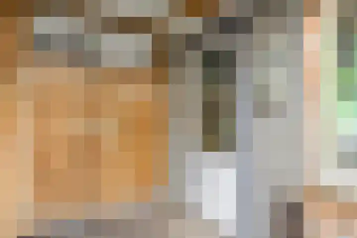 Rosweide 18 Zoetermeer thumbnail 13