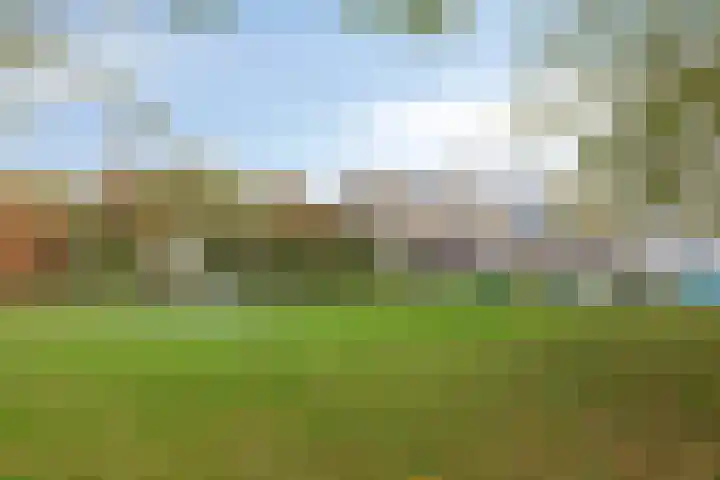 Rosweide 18 Zoetermeer thumbnail 31