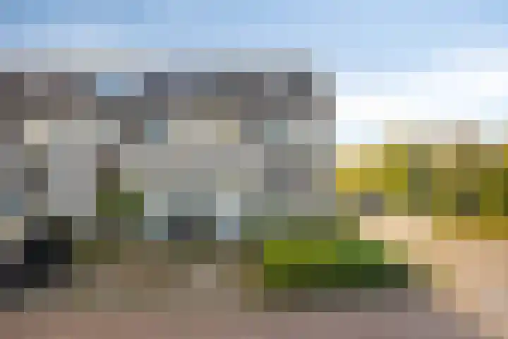 Rosweide 18 Zoetermeer thumbnail 34