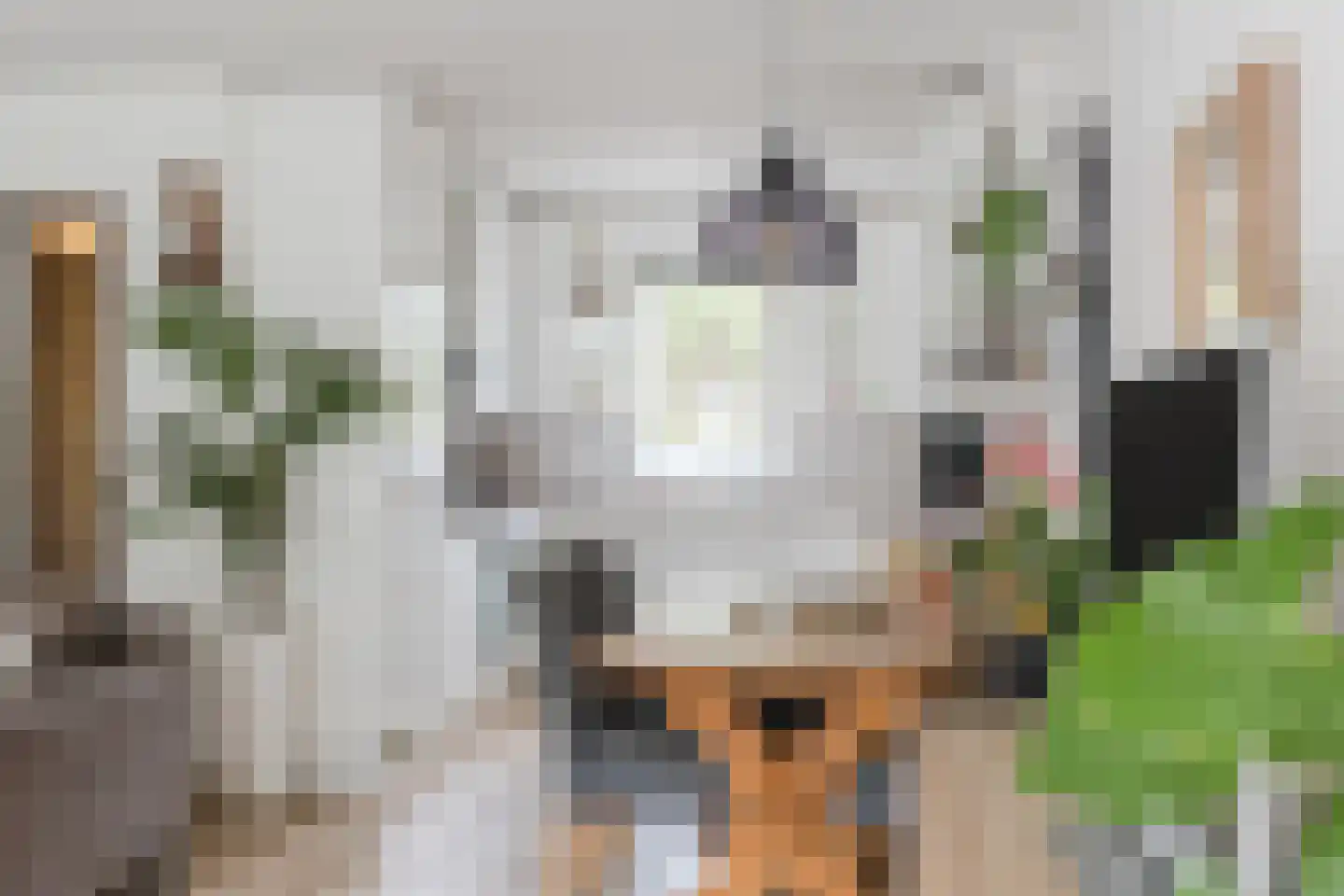 Rosweide 4 Zoetermeer thumbnail 16