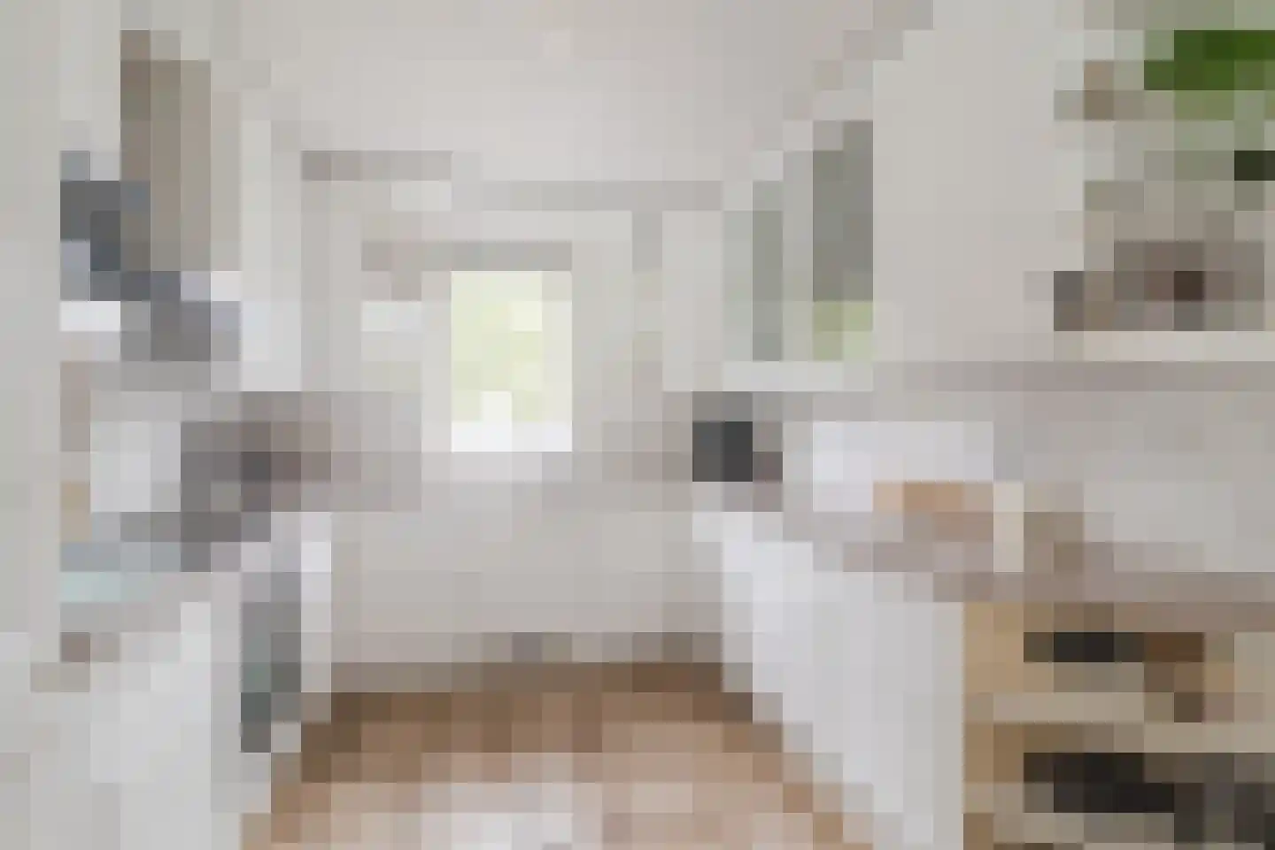 Rosweide 4 Zoetermeer thumbnail 18