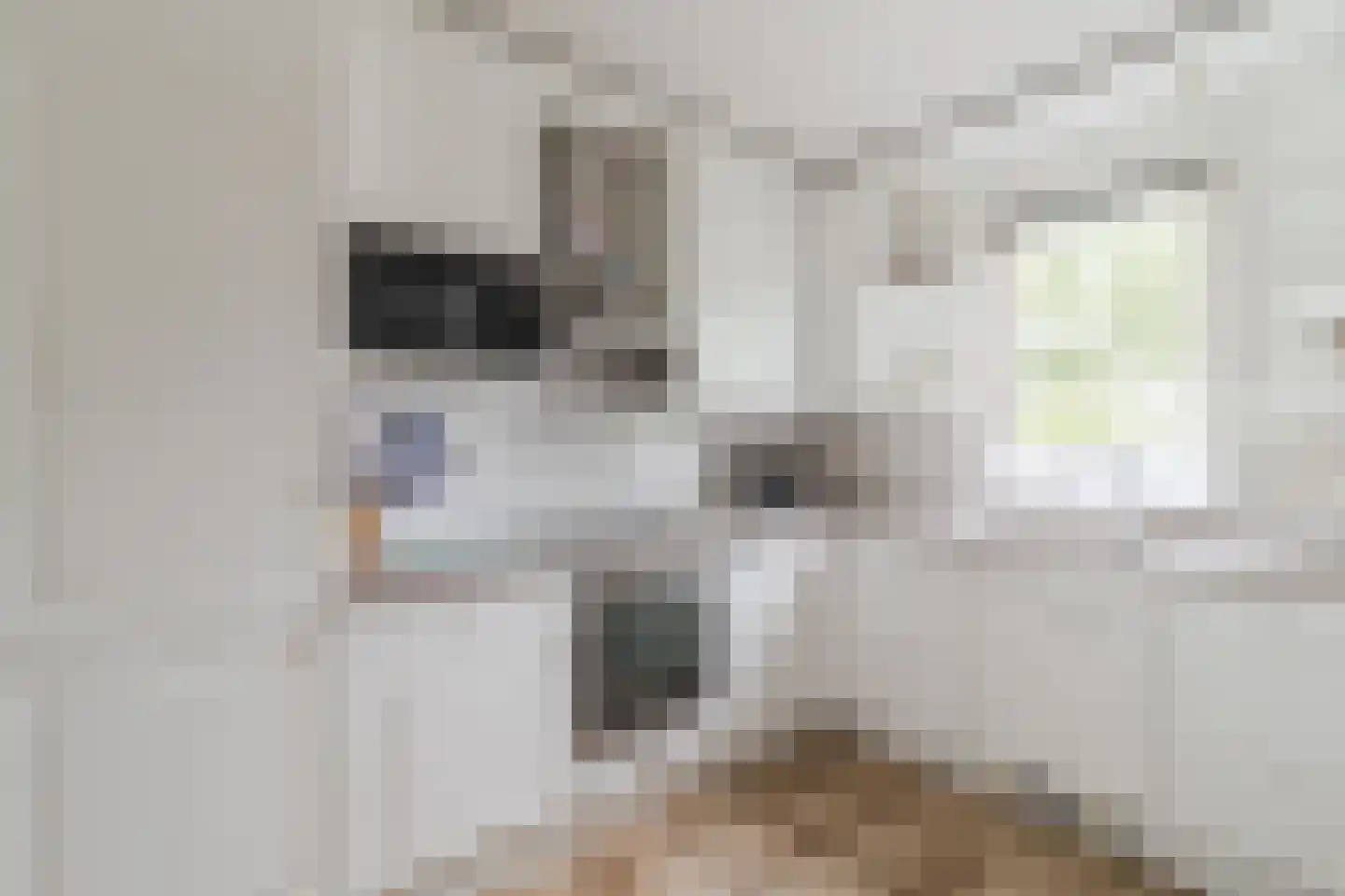 Rosweide 4 Zoetermeer thumbnail 19