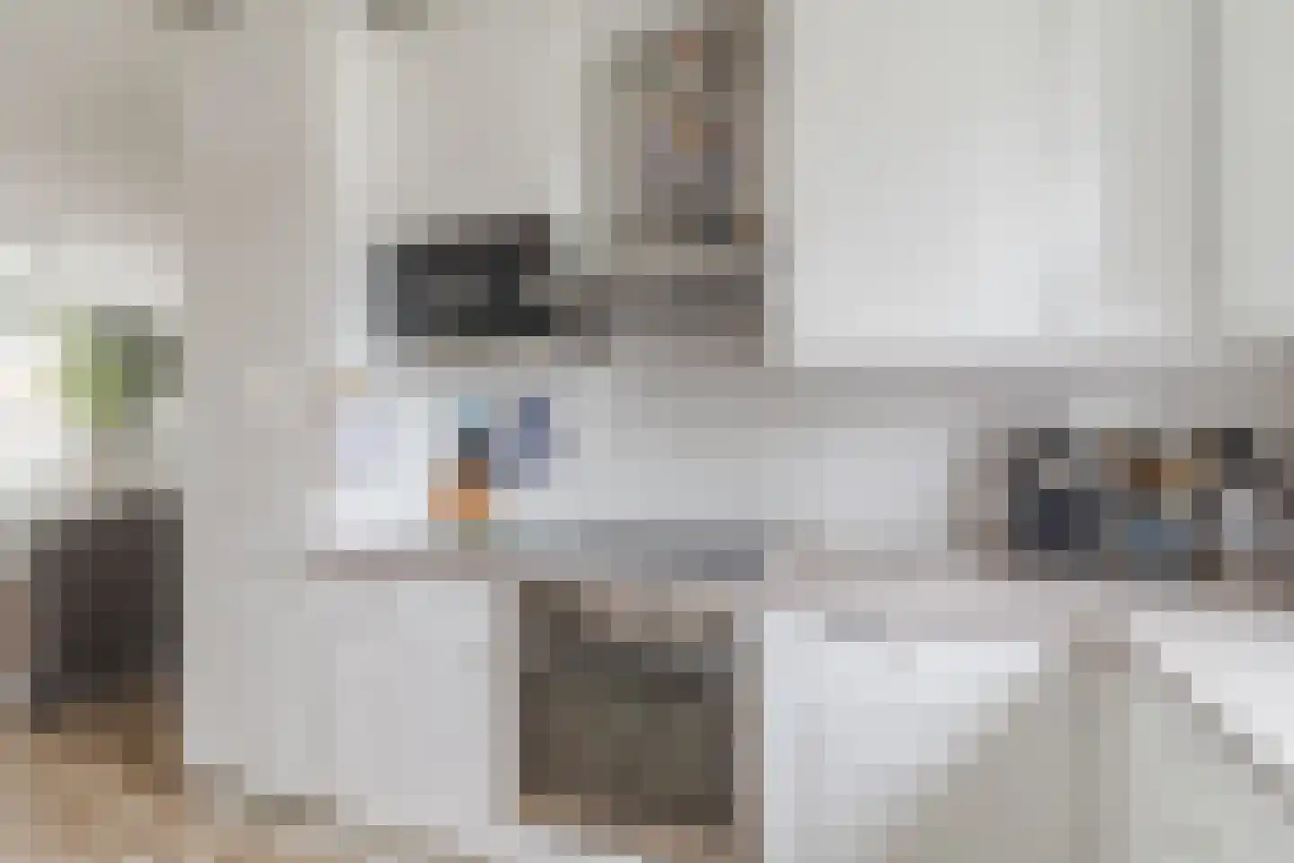 Rosweide 4 Zoetermeer thumbnail 20