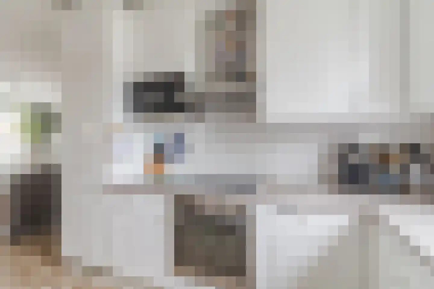 Rosweide 4 Zoetermeer thumbnail 20