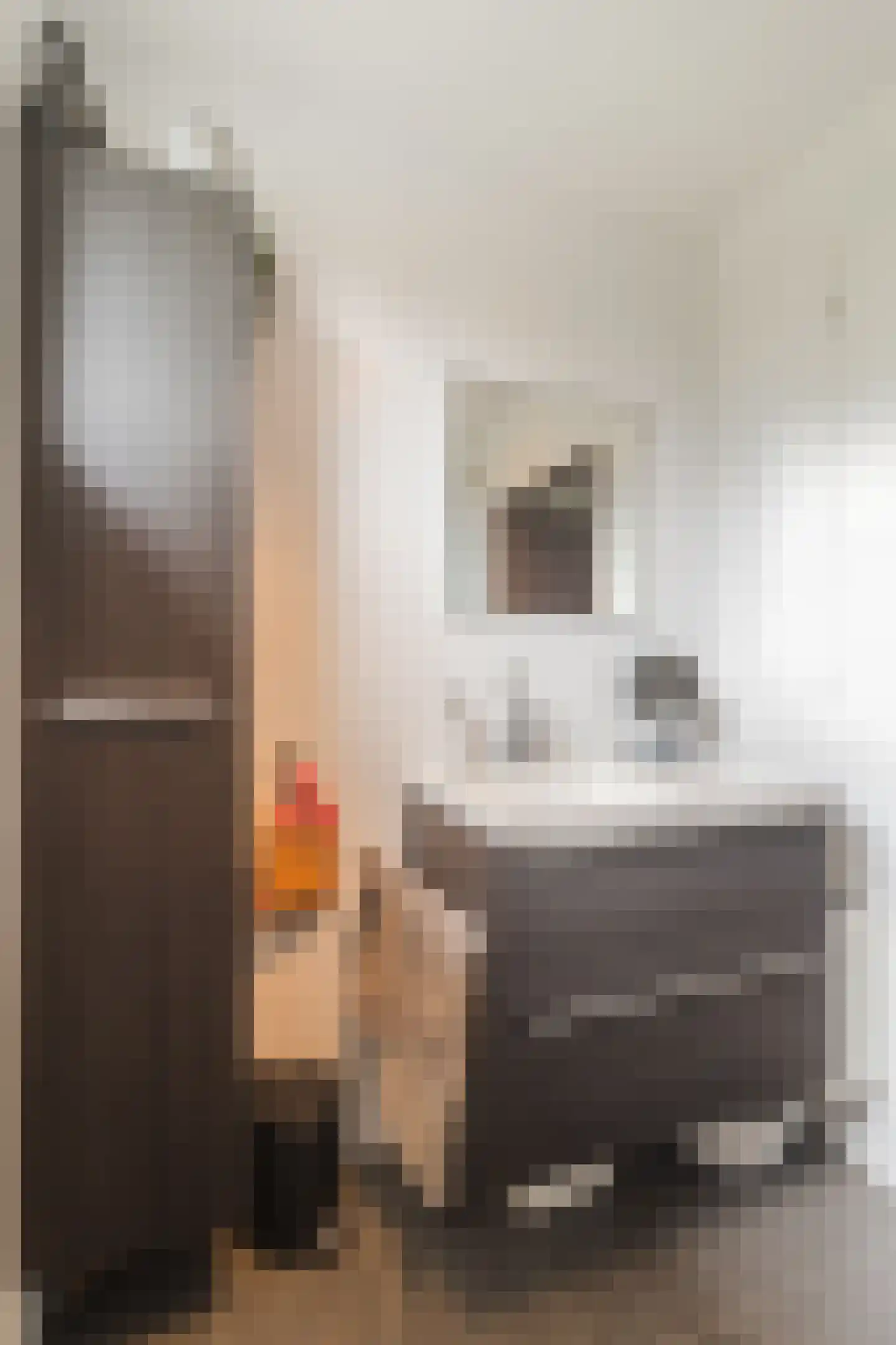 Rosweide 4 Zoetermeer thumbnail 30