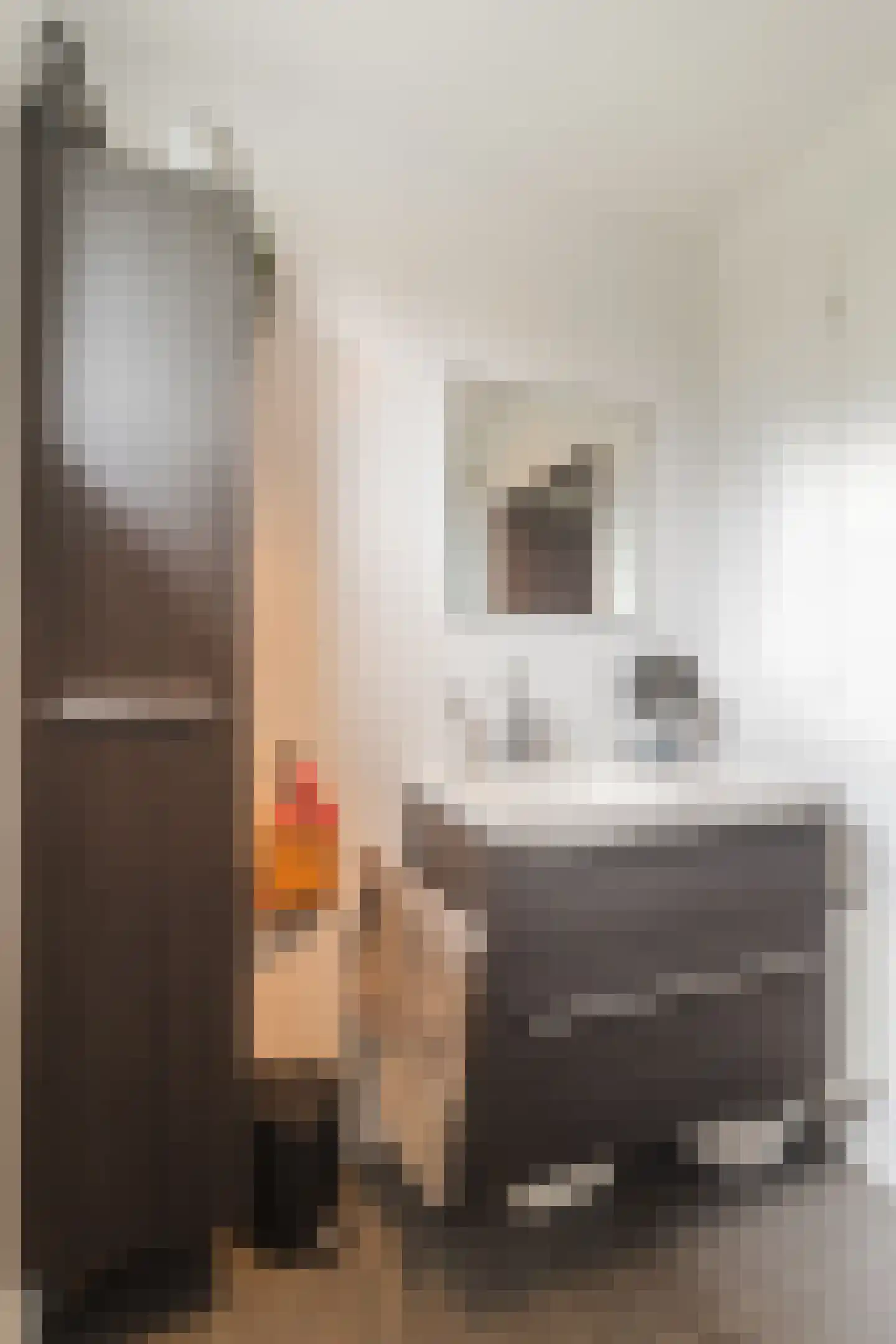 Rosweide 4 Zoetermeer thumbnail 30