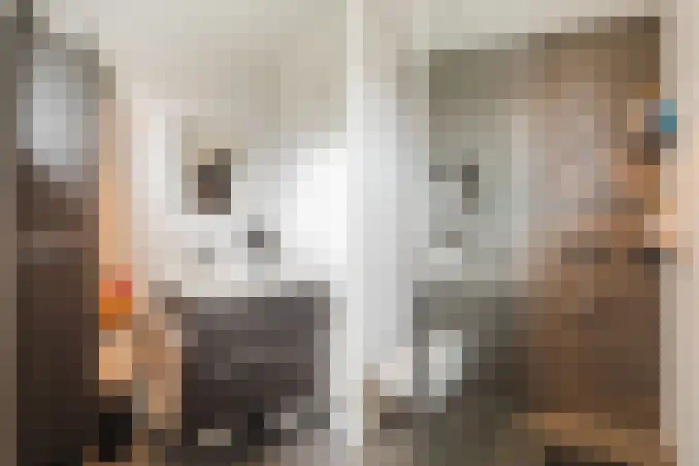 Rosweide 4 Zoetermeer thumbnail 32