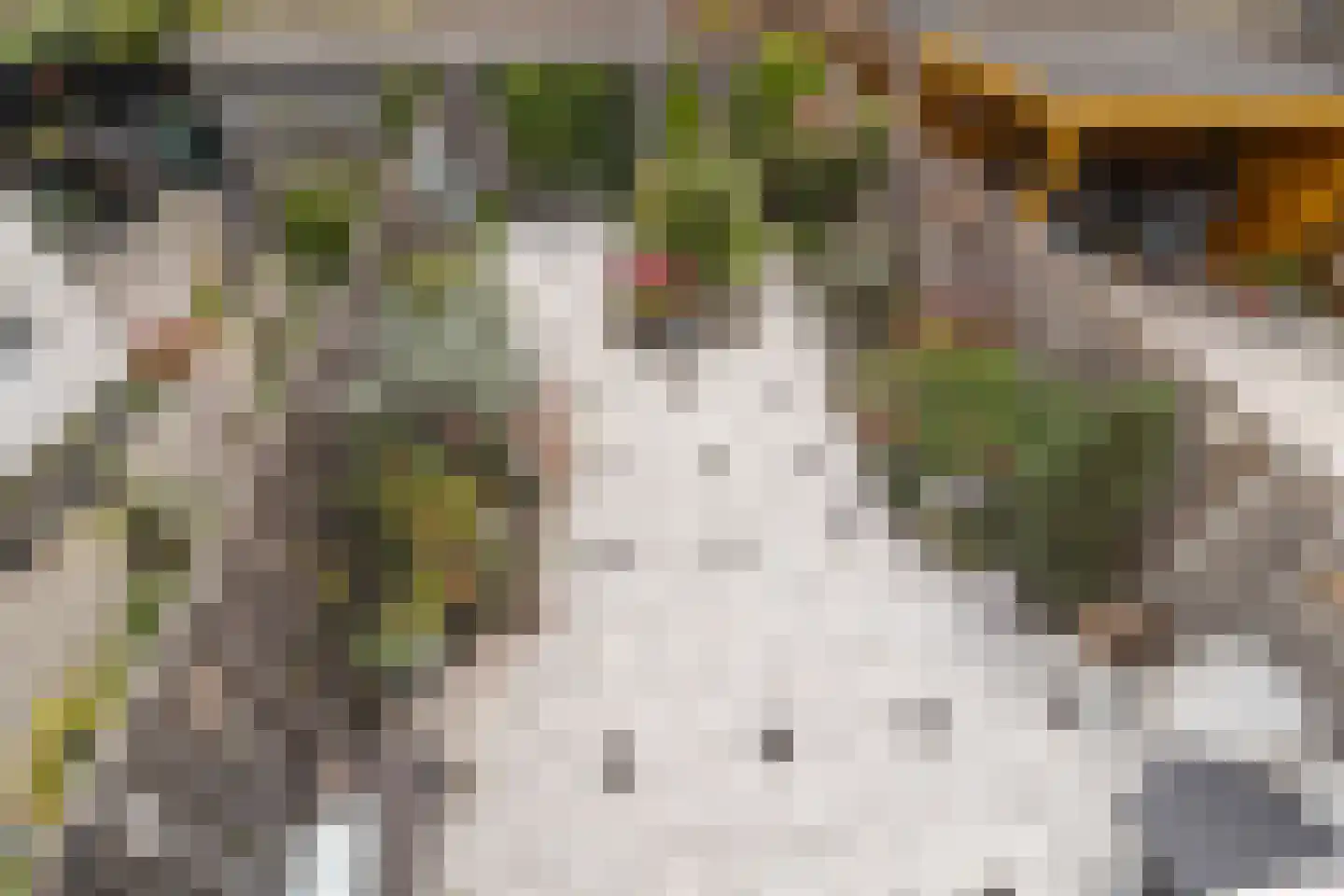 Rosweide 4 Zoetermeer thumbnail 40