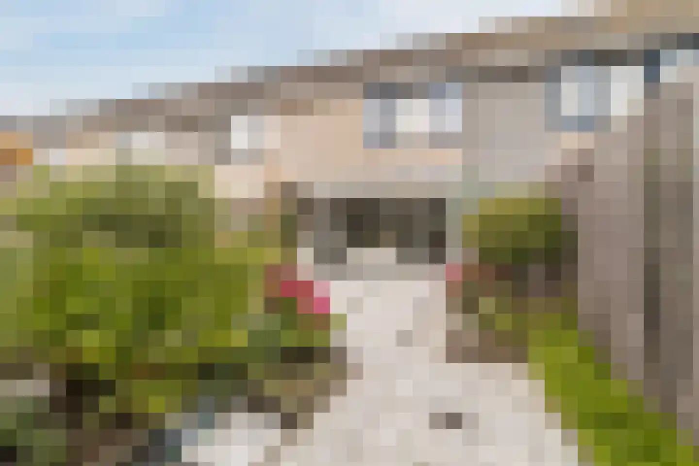 Rosweide 4 Zoetermeer thumbnail 44