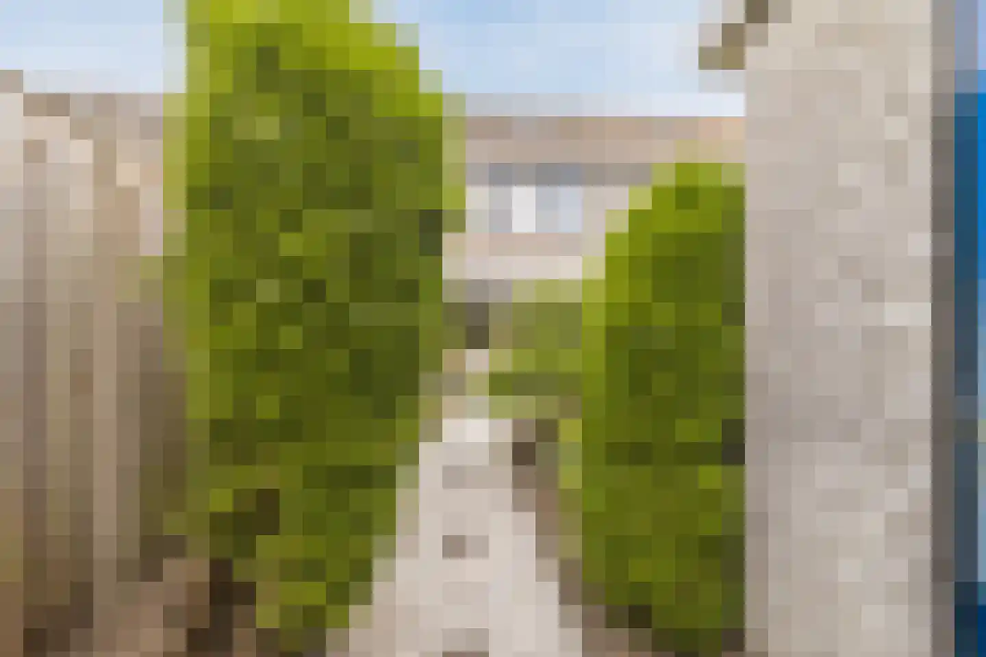 Rosweide 4 Zoetermeer thumbnail 45