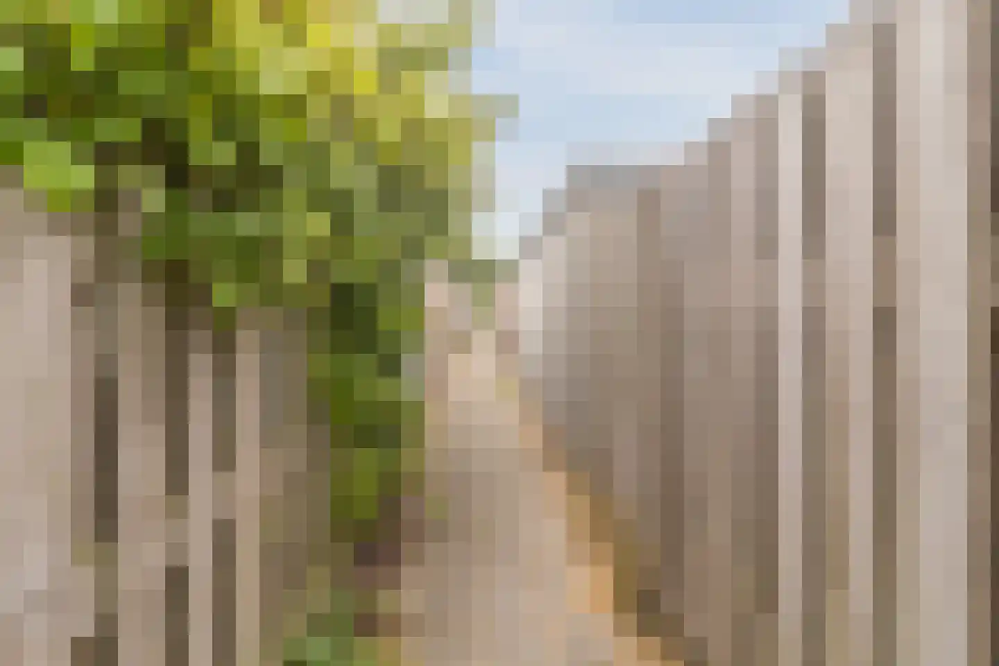 Rosweide 4 Zoetermeer thumbnail 46