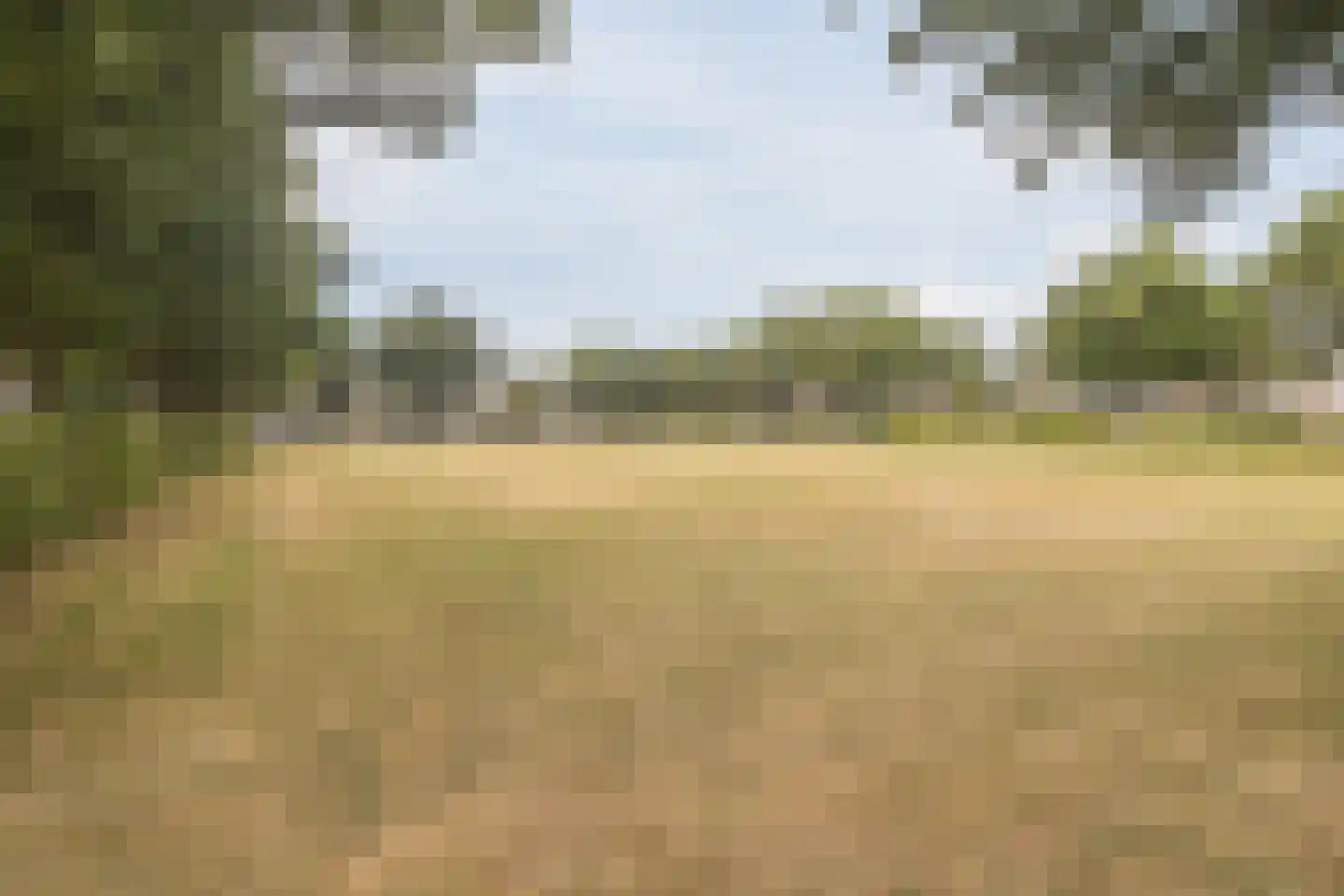 Rosweide 4 Zoetermeer thumbnail 47