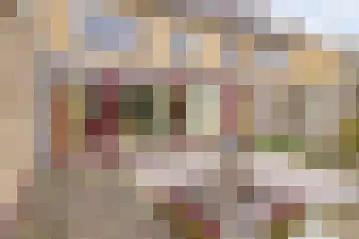 Rosweydelaan 128 De Meern thumbnail 16