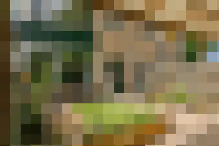 Rosweydelaan 4 De Meern thumbnail 27