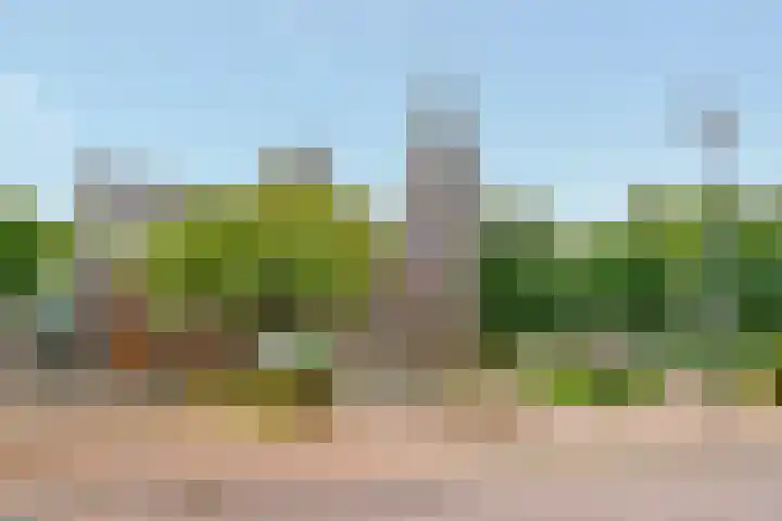 Rosweydelaan 4 De Meern thumbnail 29
