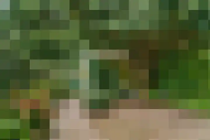 Rosweydelaan 40 De Meern foto 2
