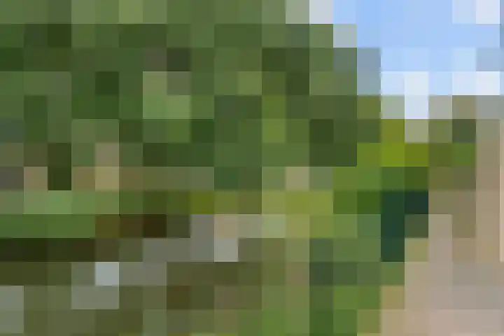 Rosweydelaan 40 De Meern thumbnail 28