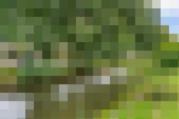 Rosweydelaan 40 De Meern thumbnail 31