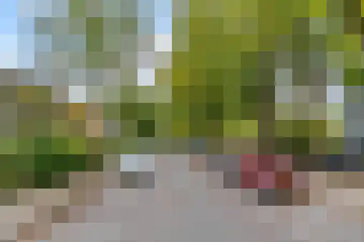 Rosweydelaan 40 De Meern thumbnail 34
