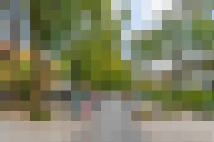 Rosweydelaan 40 De Meern thumbnail 35