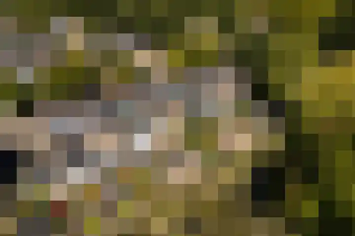 Rosweydelaan 80 De Meern thumbnail 25