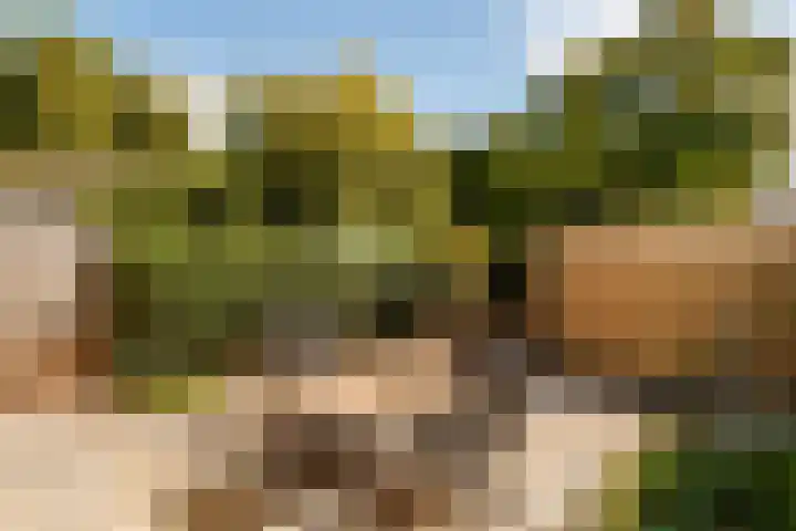 Rosweydelaan 80 De Meern thumbnail 8