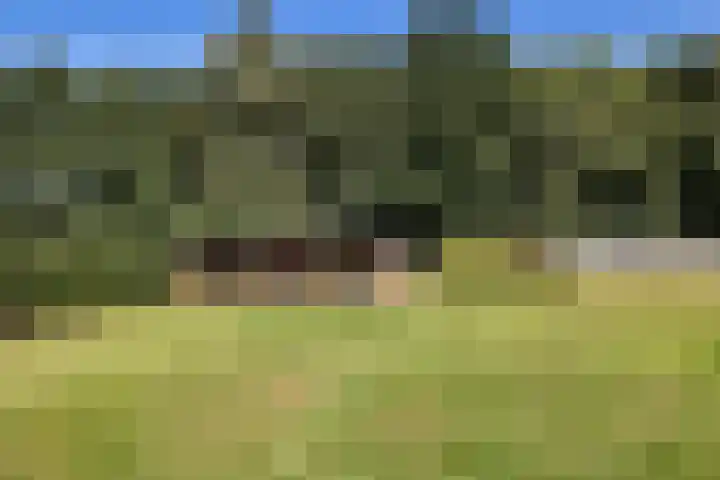 Roswinkelerkanaal NZ 29 A Roswinkel thumbnail 36