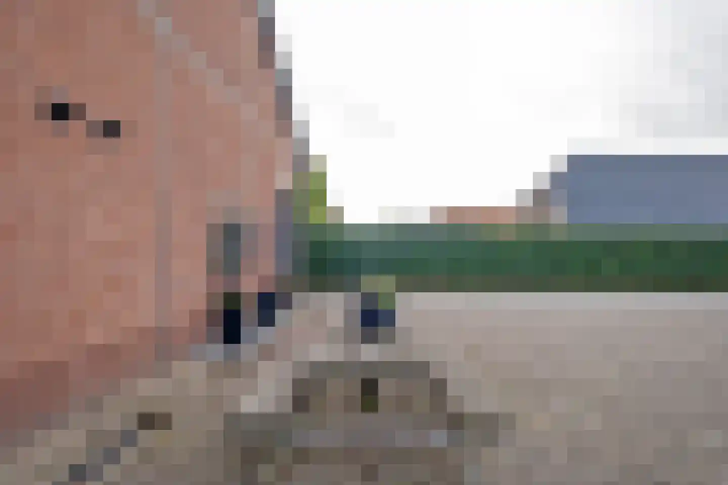 Roswinkelerstraat 169 Roswinkel thumbnail 89