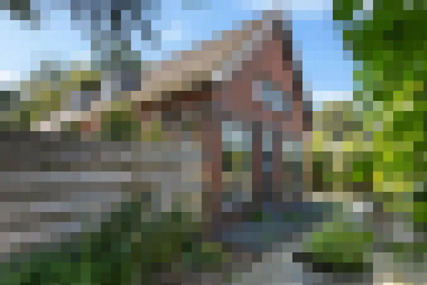 Roswinkelerstraat 26 Roswinkel thumbnail 55
