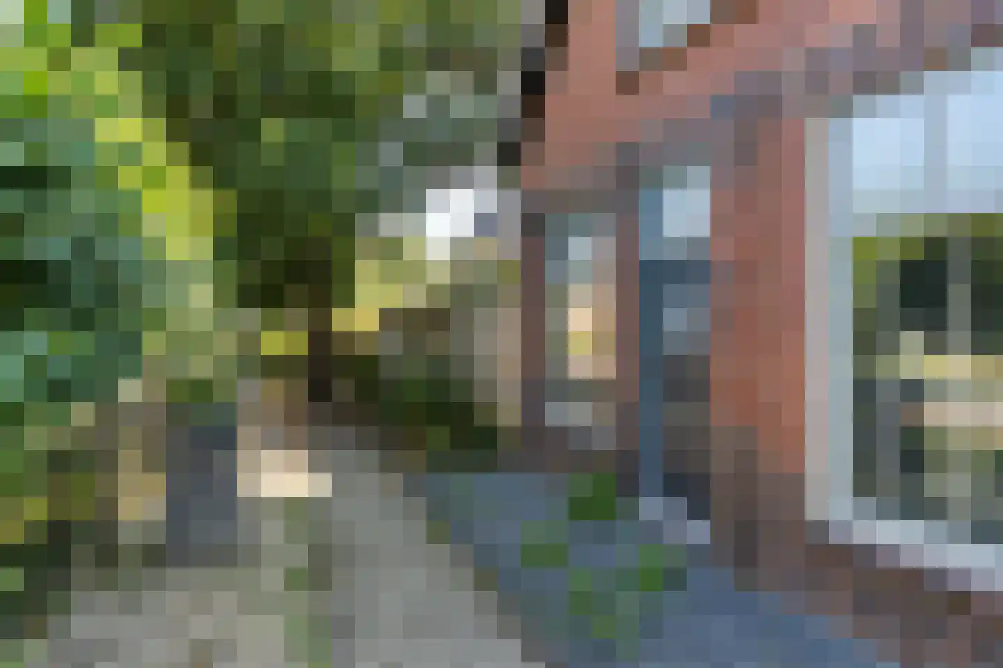 Roswinkelerstraat 26 Roswinkel thumbnail 56