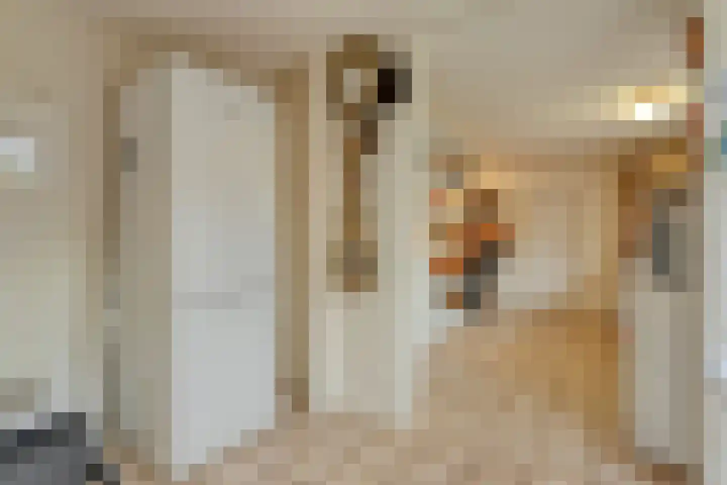 Roswinkelerstraat 36 Roswinkel thumbnail 15