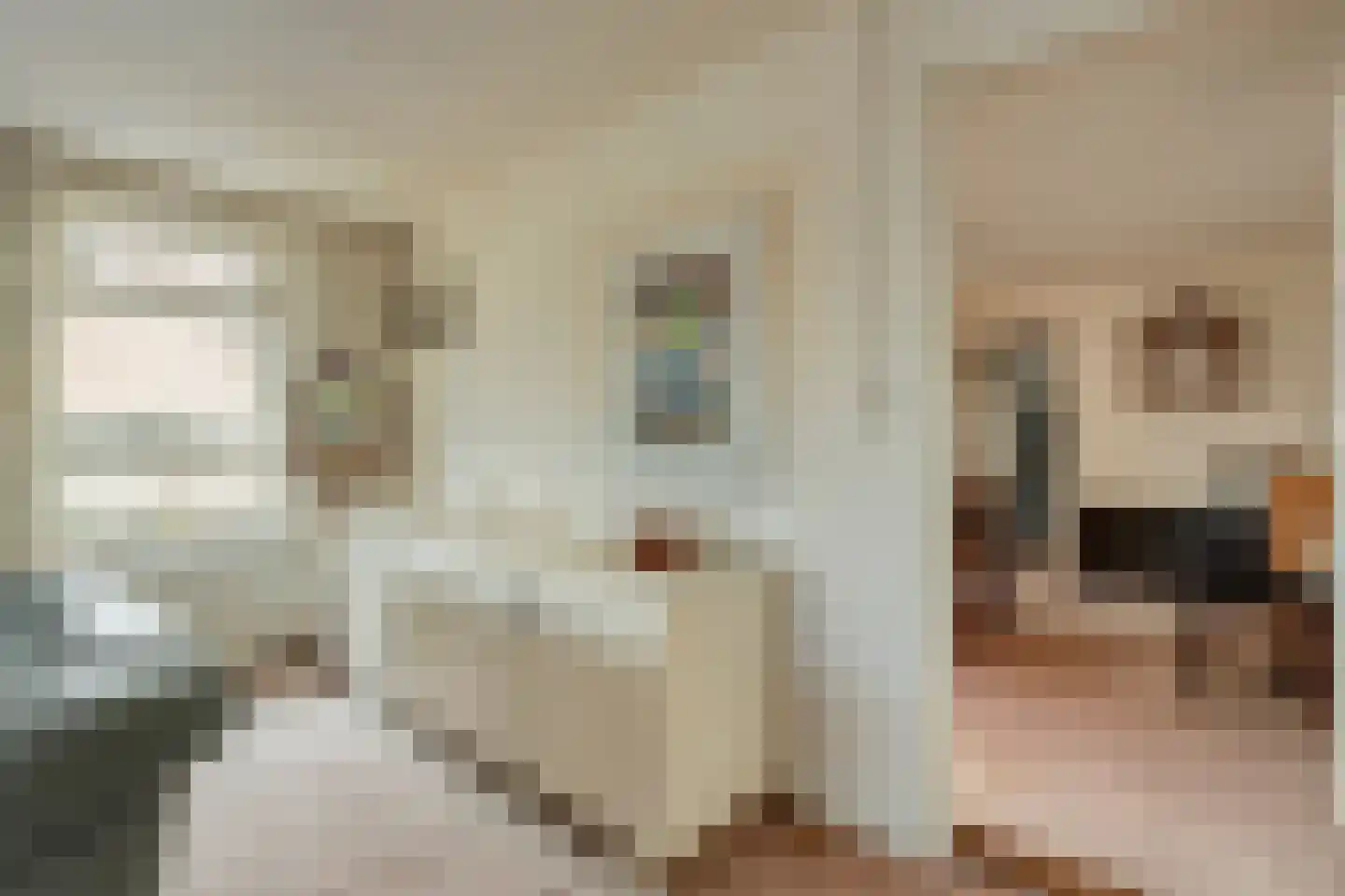 Roswinkelerstraat 36 Roswinkel thumbnail 21