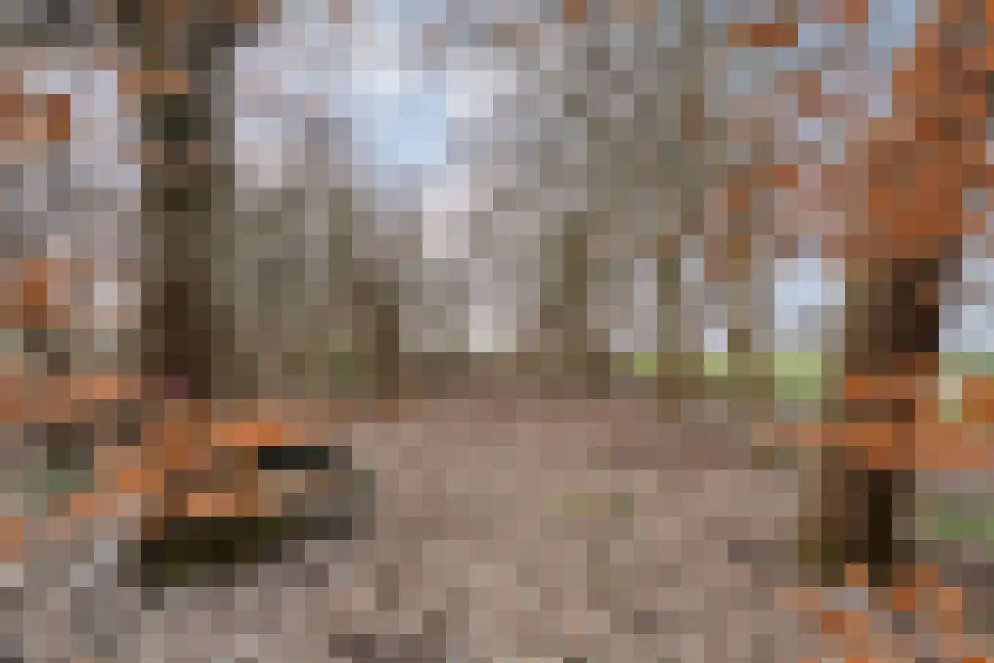 Roswinkelerstraat 36 Roswinkel thumbnail 5